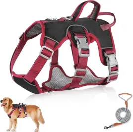 czarne-wielofunkcyjne-szelki-uprzaz-dla-duzego-psa-smycz-bezpieczne-spacer