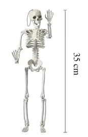 2x-szkielet-kosciotrup-czaszka-ozdoba-dekoracja-halloween-dom-impreza-40cm