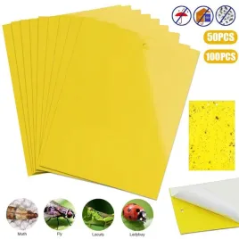 lampa-przeciwko-kleszczom-komarom-pchlom