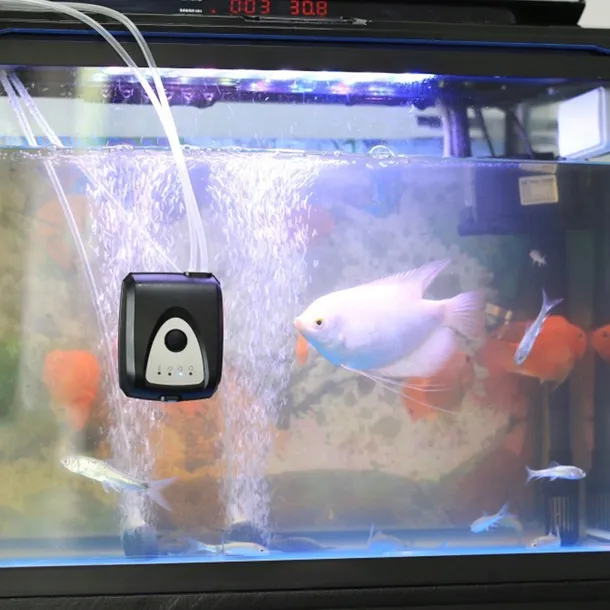 pompa-08-w-do-500-l-h-kod-producenta-djuwwe