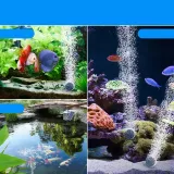 pompa-08-w-do-500-l-h-moc-0-8-w-wydajnosc-pompy-l-h-do-500-l-h