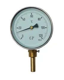 termometr-tech-eco-ter-rad-fi100-120st