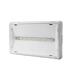 oprawa-awaryjna-exit-s-ip65-eco-led-at-1w-115lm-1h
