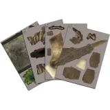 jurassic-world-t-rex-3d-puzzle-wiek-dziecka-10-lat