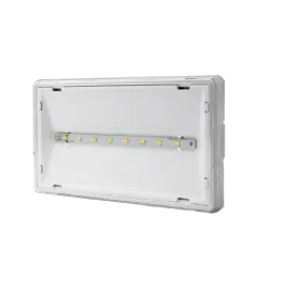 lampa-oprawa-awaryjna-awex-1-w-bialy-neutralny-ip65