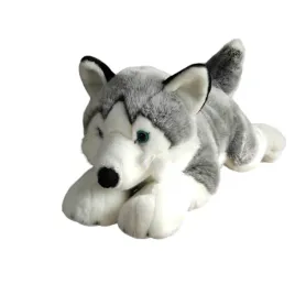 pluszak-maskotka-pies-husky-62cm-dubi