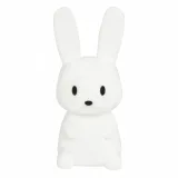 lampka-nocna-ecolight-bialy-bohater-brak