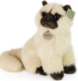 kot-birmanski-maskotka-kot-brytyjski-dlugowlosy