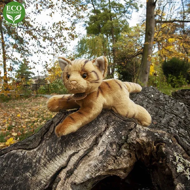 pluszak-kotek-30-cm-rappa-0-szerokosc-produktu-15-cm