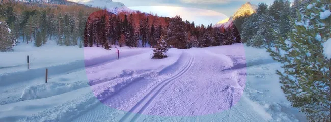 okulary-julbo-density-marka-julbo