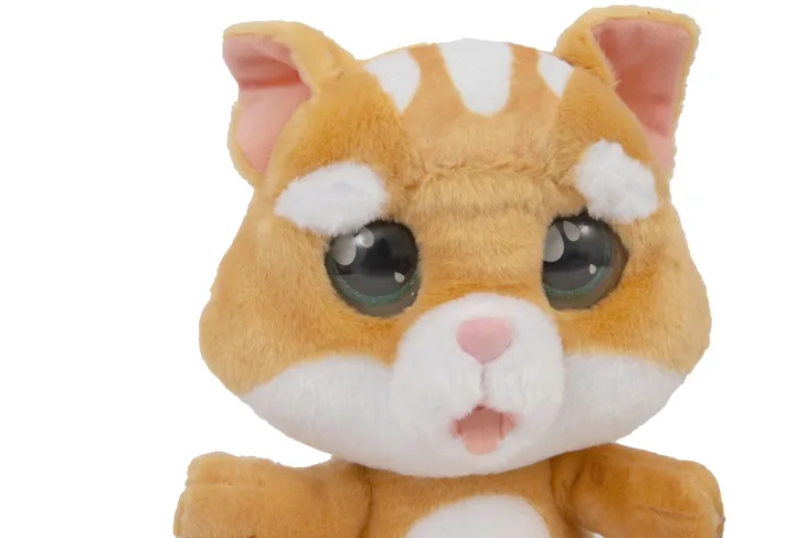 emotion-kotek-plec-chlopcy