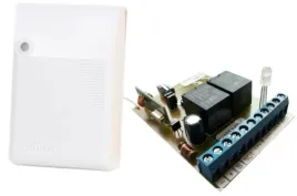 elmes-dwp12r-12v-odbiornik-2-kanalowy-10a-230v