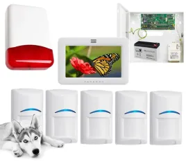 zestaw-alarmowy-do-domu-mieszkania-paradox-dotyk-5-czujek-bosch-pet-syrena