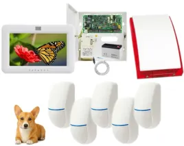 zestaw-alarmowy-paradox-spectra-manipulator-dotykowy-5-czujek-ruchu-pet