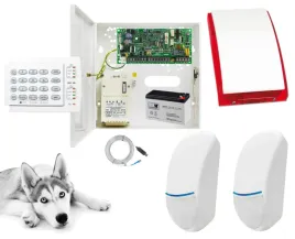 zestaw-alarmowy-do-domu-sklepu-kiosku-paradox-lcd-gsm-sms-5-czujek-ruchu