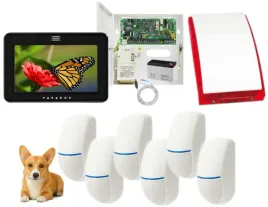 zestaw-alarmowy-paradox-spectra-6-czujek-ruchu-pet-manipulator-dotykowy