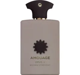 amouage-opus-v-woods-symphony-woda-perfumowana-unisex-100-ml