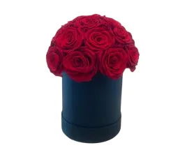 ekskluzywne-wieczne-roze-w-luksusowym-czerwonym-flower-boxie-26-sztuk