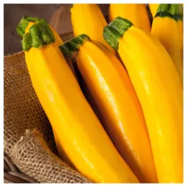 cukinia-goldena-zloto-pomaranczowa-nasiona-warzyw