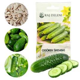 ogorek-sremski-f1-gruntowy-odporny-plenny-wczesny-nasiona-200-szt-nasion