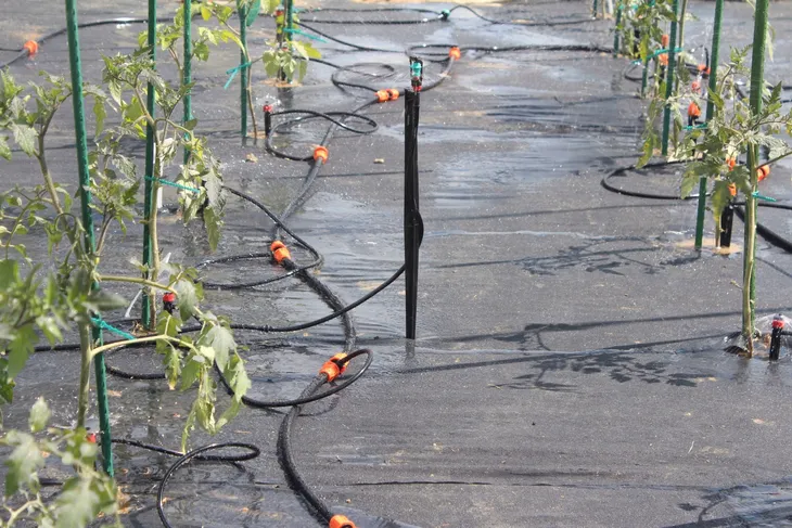 system-do-nawadniana-gardenline-rig5072-marka-gardenline-waga-z-opakowaniem-3-kg-kod-producenta-rig5072