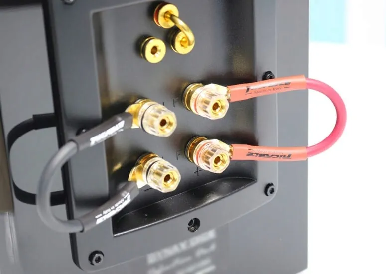 ricable-dedalus-bridge-dpf-zworki-glosnikowe-widly-widly