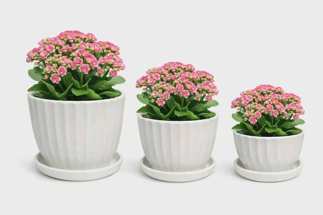 doniczka-18-ceramika-material-ceramika