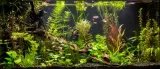 20cm-oswietlenie-led-do-akwarium-swietlowka-lampa-grow-led-full-spectrum-szerokosc-produktu-4-cm