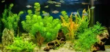 2x50cm-oswietlenie-led-do-akwarium-swietlowka-lampa-grow-led-full-spectrum-marka-aqualed-rodzaj-oswietlenia-diody-led