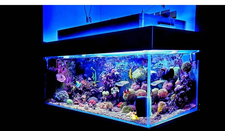 nocne-led-do-akwarium-30cm-ip68-z-regulacja-jasnosci-barwa-niebieska-wysokosc-produktu-1-cm