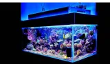 nocne-led-do-akwarium-30cm-ip68-z-regulacja-jasnosci-barwa-niebieska-wysokosc-produktu-1-cm