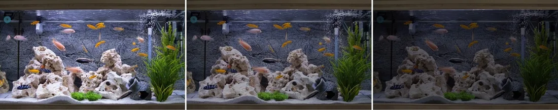 diody-led-aqualed-22-w