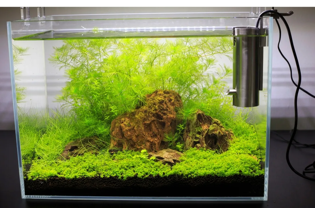 oswietlenie-led-do-akwarium-lampa-belka-led-30cm-8520-ultra-slim-marka-aqualed