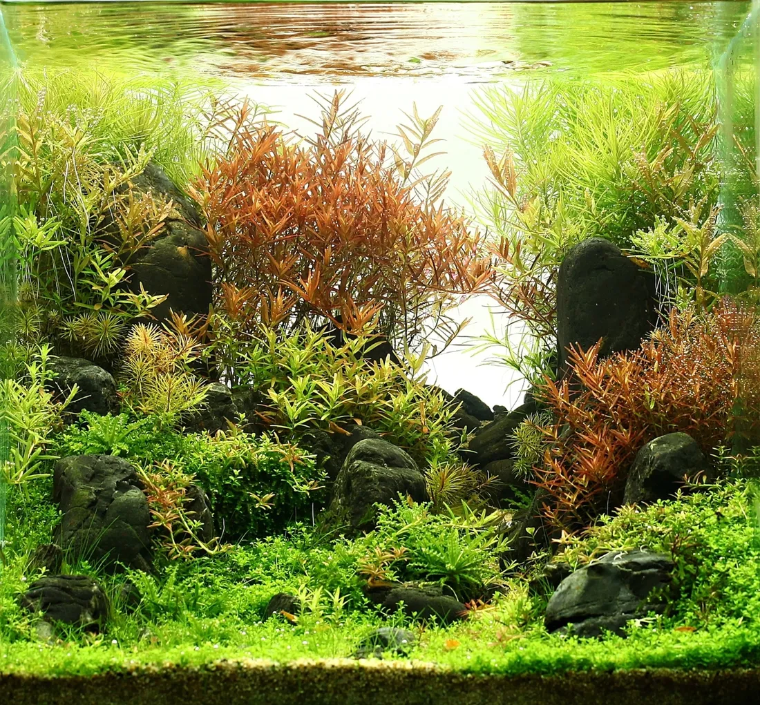 diody-led-aqualed-7-w