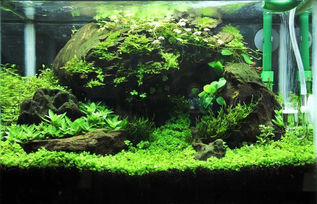 diody-led-aqualed-10-w