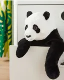 maskotka-mis-47-cm-ikea-18-m-certyfikaty-opinie-atesty-ce