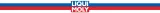 liqui-moly-plukanka-engineflush-proline-2662-2427-500ml-numer-katalogowy-producenta-2427