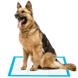 podklady-chlonne-i-maty-purlov-100-szt