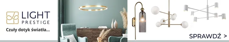 anillo-2-spot-bialy-material-dominujacy-metal