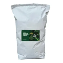 ziemia-do-aglaonemy-diffenbachii-caladium-15l-bigos-podloze