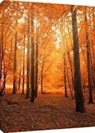 mool-dog-bed-obraz-na-plotnie-81x56cm-h1450