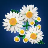 klocki-lego-botanicals-stokrotki-11508-133-elementy-marka-lego