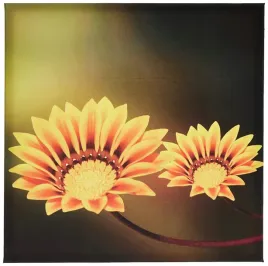 asir-group-252sgh1232-obraz-na-plotnie-45x45-h1173