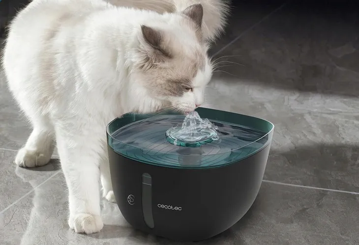 poidlo-cecotec-plastik-2-ml-kolor-czarny