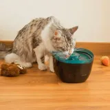 poidlo-cecotec-plastik-2-ml-pojemnosc-2-ml-srednica-0-cm