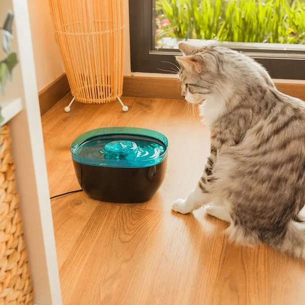 poidlo-cecotec-plastik-2-ml-srednica-0-cm-pojemnosc-2-ml