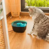 poidlo-cecotec-plastik-2-ml-srednica-0-cm-pojemnosc-2-ml