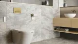 aurro-fresh-przycisk-splukujacy-excellent-shiro-premium-zloty-szczotkowany-rodzaj-do-wc