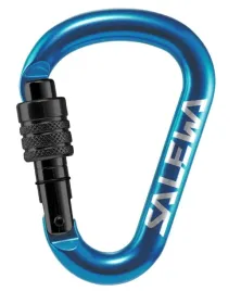 karabinek-salewa-hms-screw-g2-medium-blue