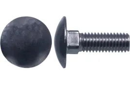 sruba-zamkowa-nierdzewna-a2-m8x25-mm-din603-100x